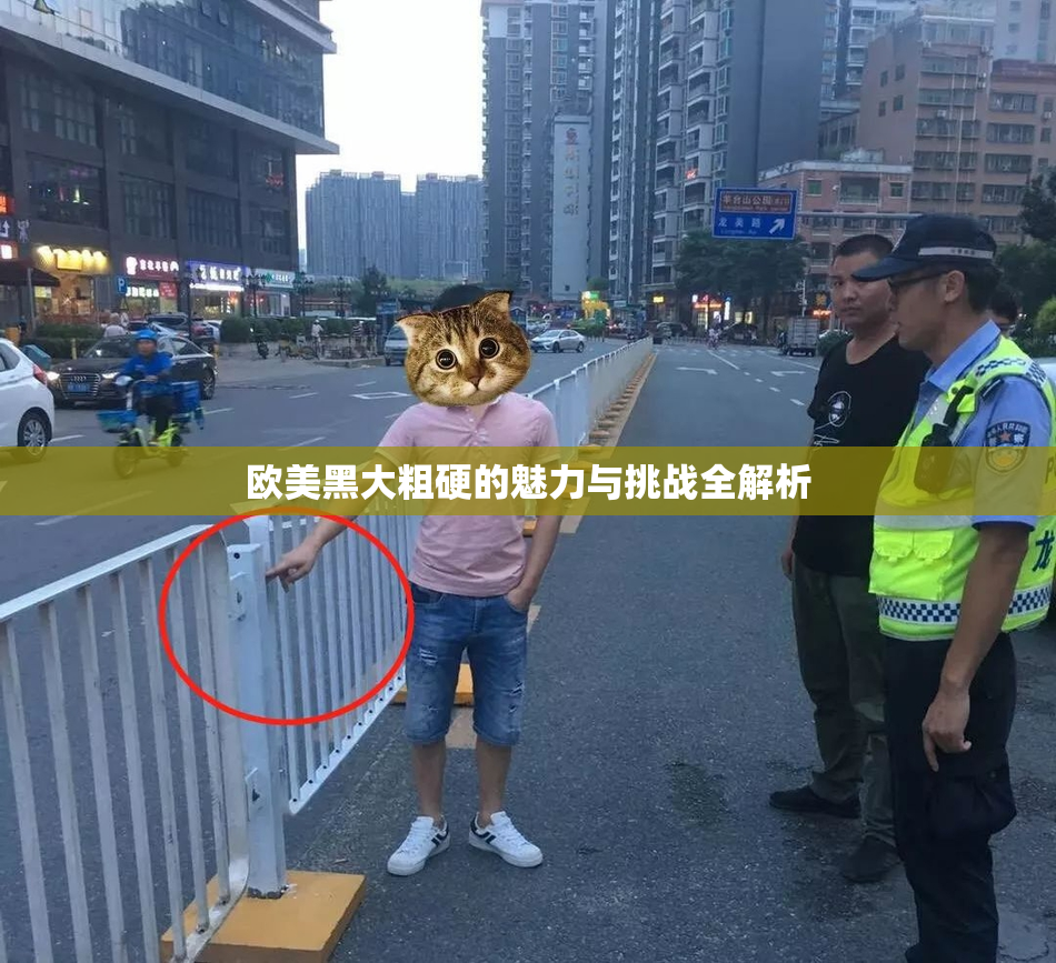 欧美黑大粗硬的魅力与挑战全解析