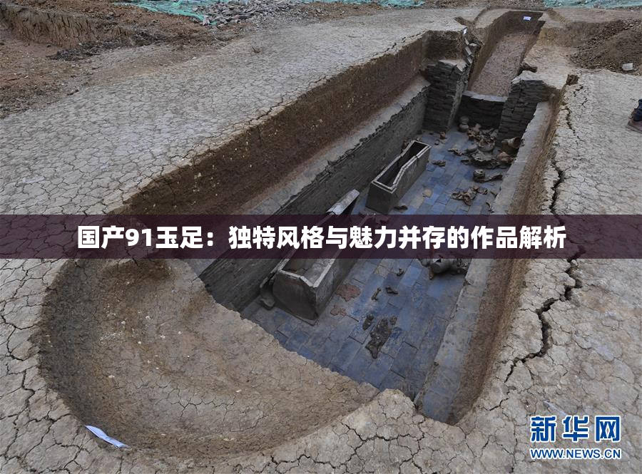 国产91玉足：独特风格与魅力并存的作品解析
