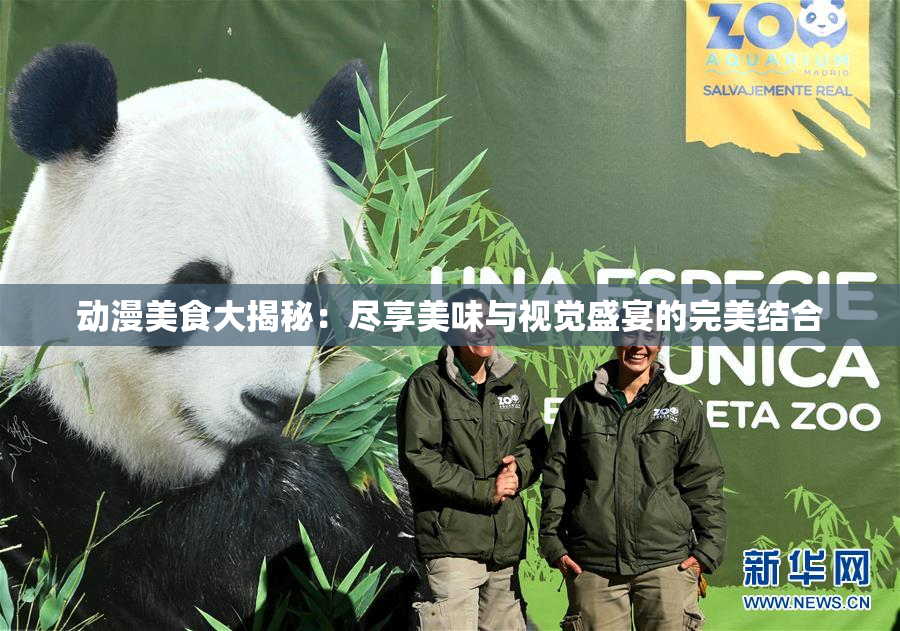 动漫美食大揭秘：尽享美味与视觉盛宴的完美结合