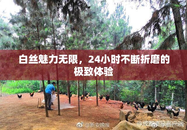 白丝魅力无限，24小时不断折磨的极致体验