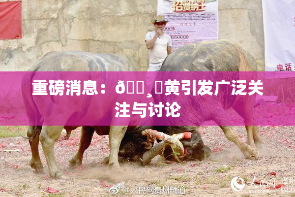 重磅消息：🌸‌黄引发广泛关注与讨论