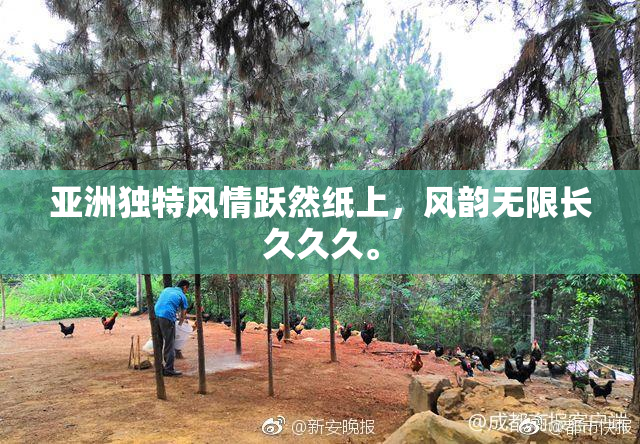 亚洲独特风情跃然纸上，风韵无限长久久久。