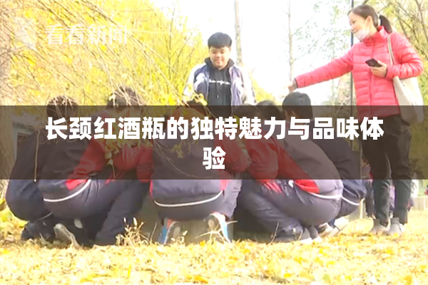 长颈红酒瓶的独特魅力与品味体验