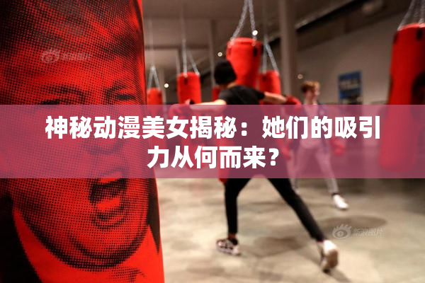 神秘动漫美女揭秘：她们的吸引力从何而来？