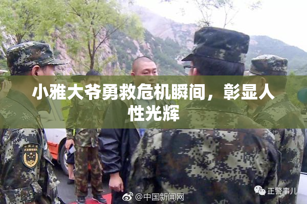 小雅大爷勇救危机瞬间，彰显人性光辉
