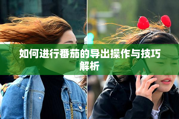 如何进行番茄的导出操作与技巧解析