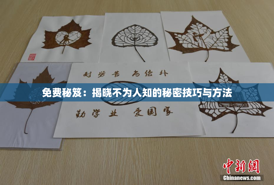 免费秘笈：揭晓不为人知的秘密技巧与方法