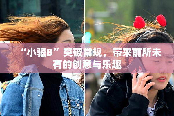 “小骚B”突破常规，带来前所未有的创意与乐趣