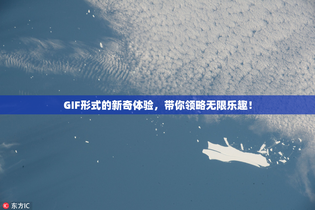 GIF形式的新奇体验，带你领略无限乐趣！