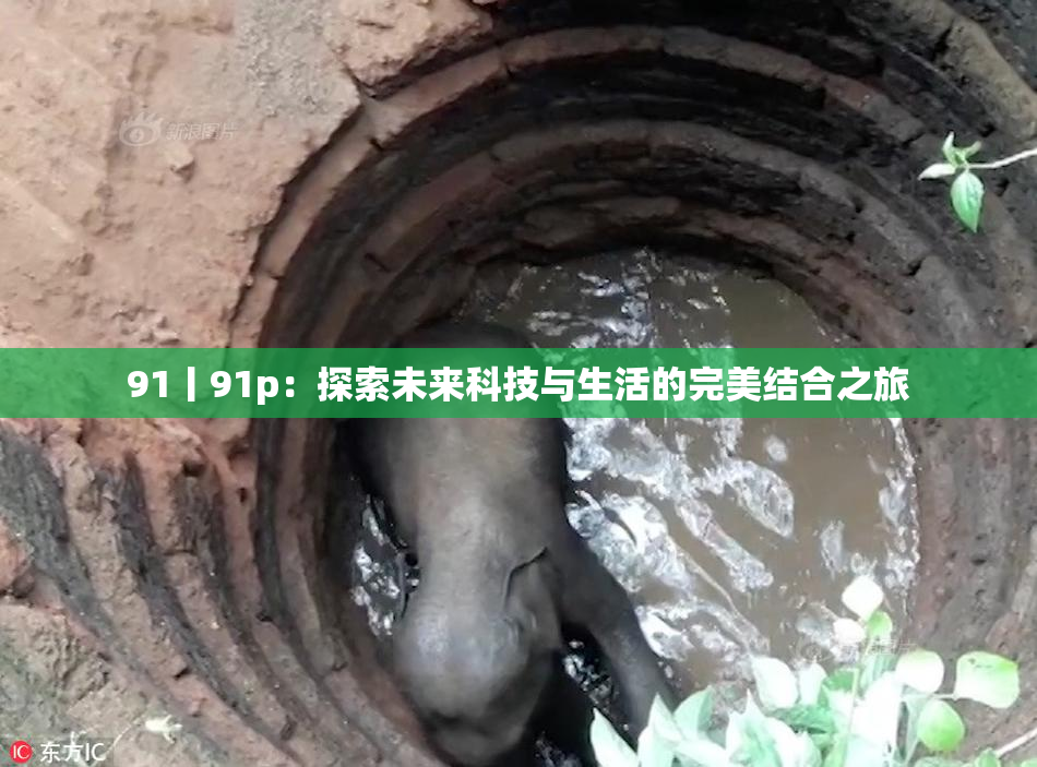 91丨91p：探索未来科技与生活的完美结合之旅