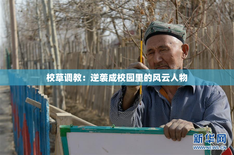 校草调教：逆袭成校园里的风云人物