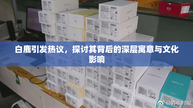 白鹿引发热议，探讨其背后的深层寓意与文化影响