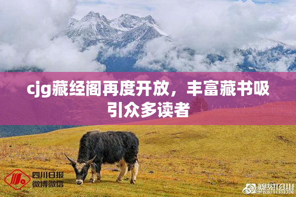 cjg藏经阁再度开放，丰富藏书吸引众多读者