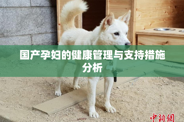 国产孕妇的健康管理与支持措施分析