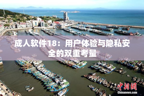 成人软件18：用户体验与隐私安全的双重考量