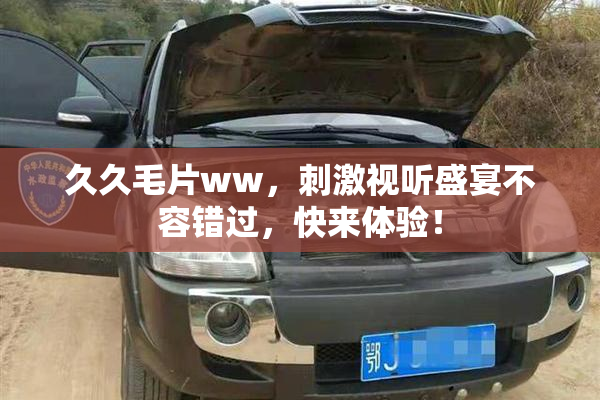 久久毛片ww，刺激视听盛宴不容错过，快来体验！
