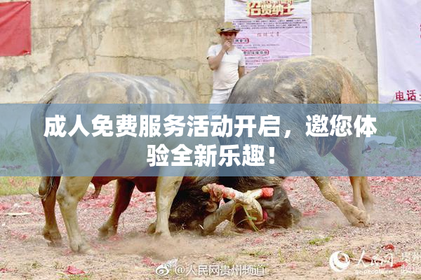 成人免费服务活动开启，邀您体验全新乐趣！