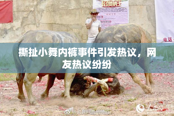 撕扯小舞内裤事件引发热议，网友热议纷纷