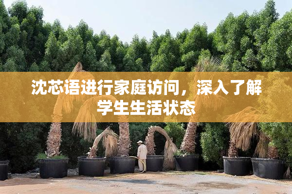 沈芯语进行家庭访问，深入了解学生生活状态