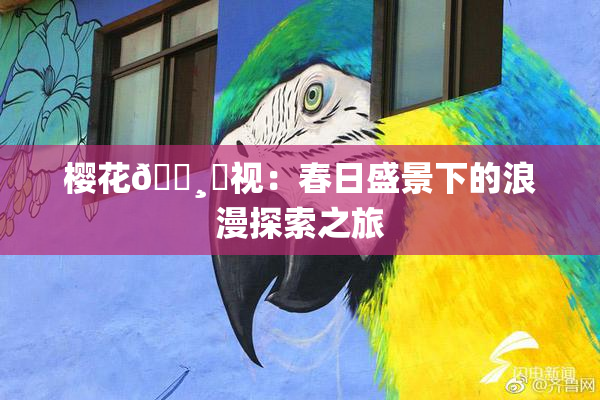樱花🌸‌视：春日盛景下的浪漫探索之旅