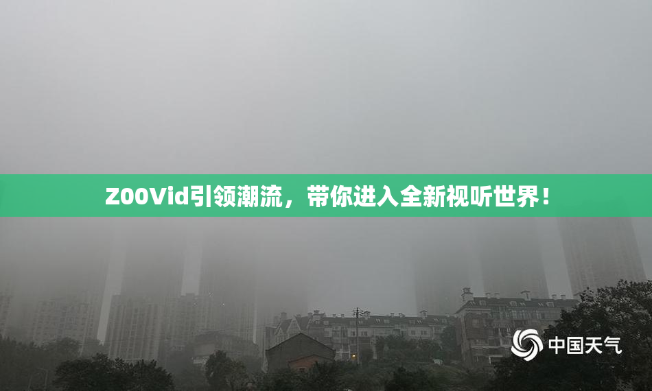 Z00Vid引领潮流，带你进入全新视听世界！