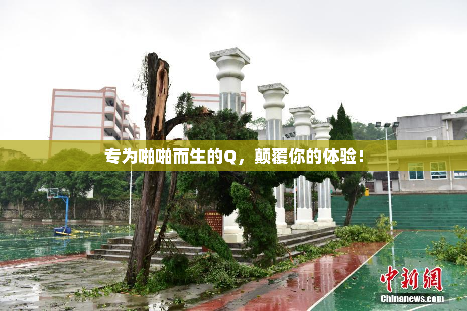 专为啪啪而生的Q，颠覆你的体验！