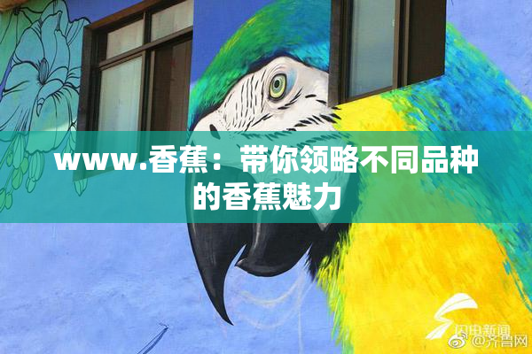 www.香蕉：带你领略不同品种的香蕉魅力