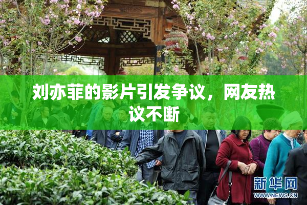 刘亦菲的影片引发争议，网友热议不断