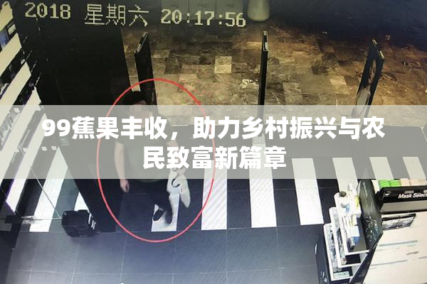 99蕉果丰收，助力乡村振兴与农民致富新篇章