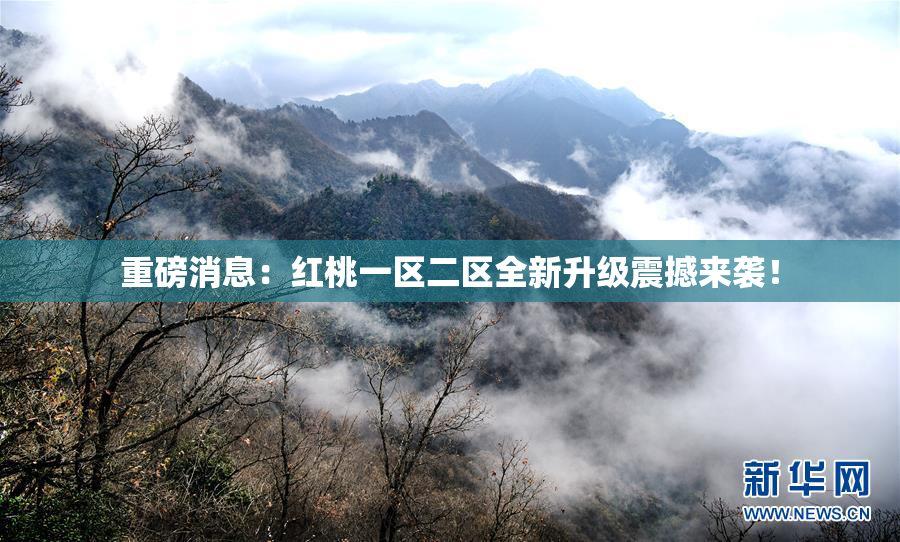 重磅消息：红桃一区二区全新升级震撼来袭！