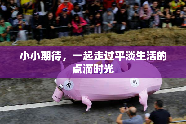 小小期待，一起走过平淡生活的点滴时光