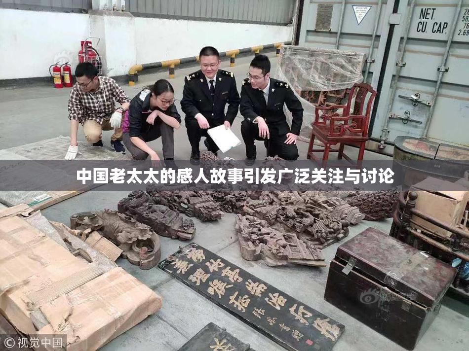 中国老太太的感人故事引发广泛关注与讨论