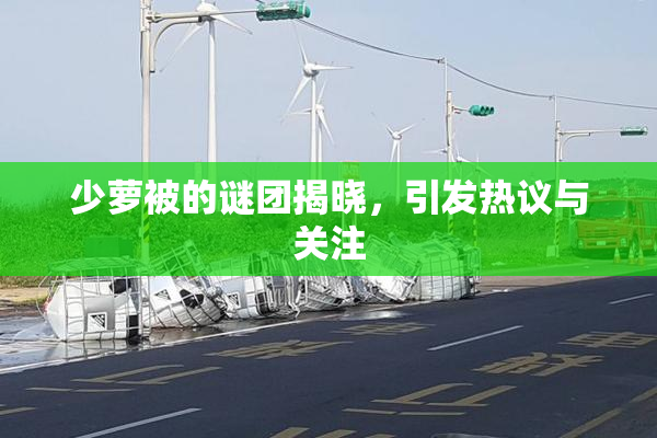 少萝被的谜团揭晓，引发热议与关注