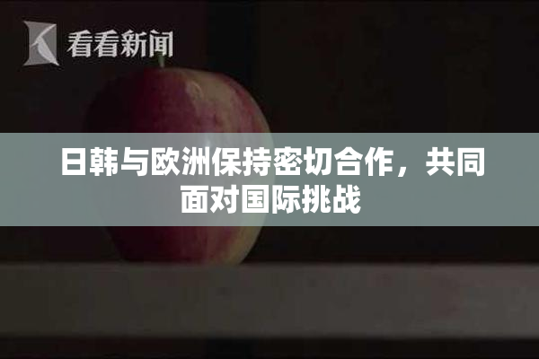 日韩与欧洲保持密切合作，共同面对国际挑战