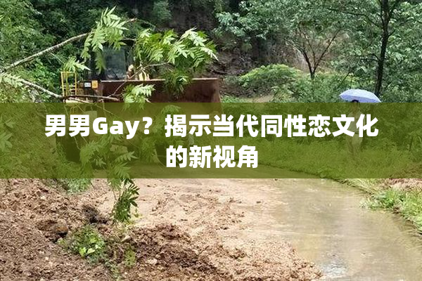 男男Gay？揭示当代同性恋文化的新视角