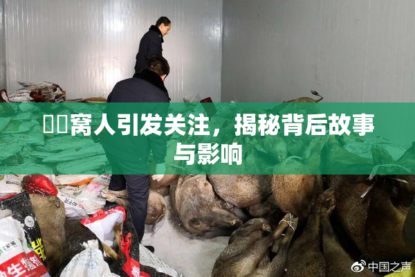 妺妺窝人引发关注，揭秘背后故事与影响