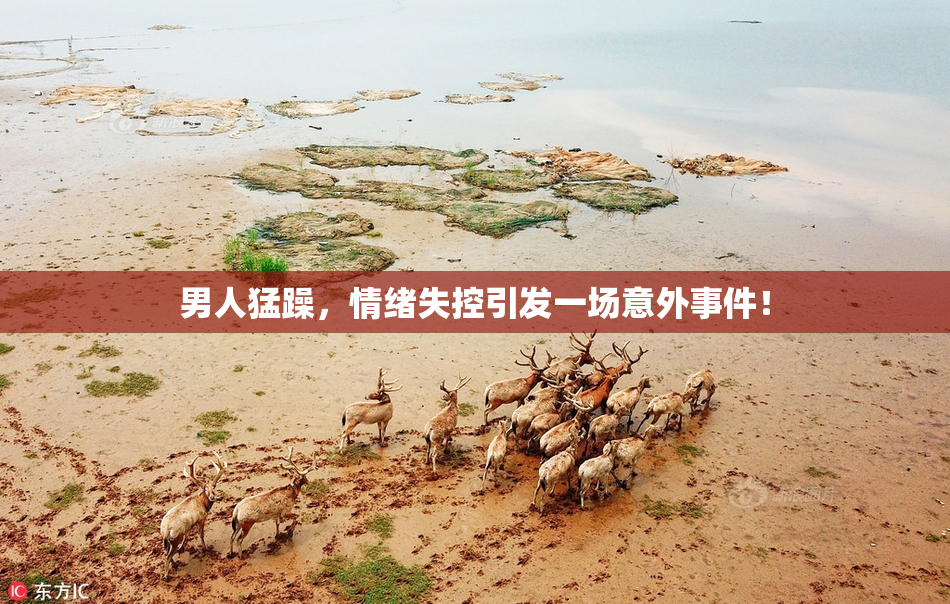 男人猛躁，情绪失控引发一场意外事件！