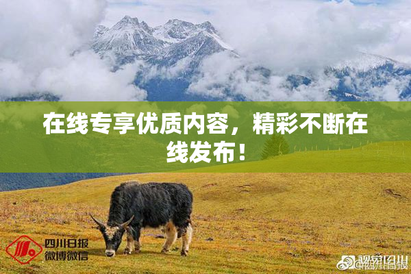 在线专享优质内容，精彩不断在线发布！