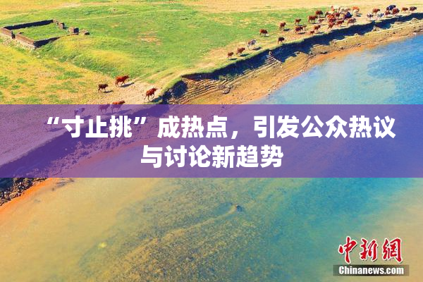 “寸止挑”成热点，引发公众热议与讨论新趋势