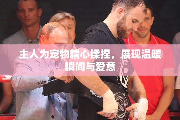 主人为宠物精心揉捏，展现温暖瞬间与爱意