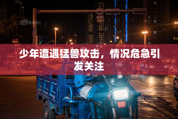 少年遭遇猛兽攻击，情况危急引发关注