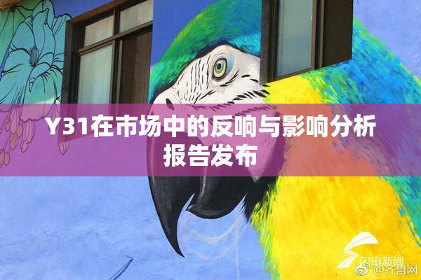 Y31在市场中的反响与影响分析报告发布