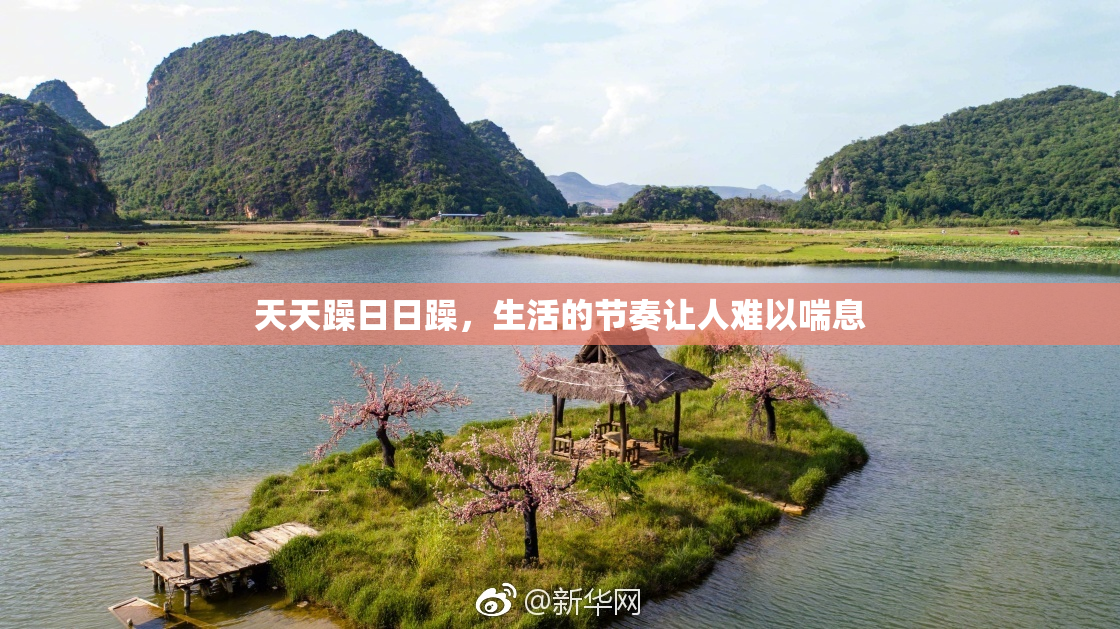 天天躁日日躁，生活的节奏让人难以喘息