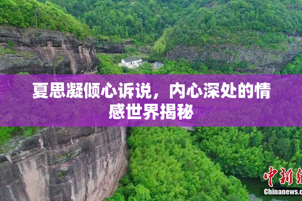 夏思凝倾心诉说，内心深处的情感世界揭秘