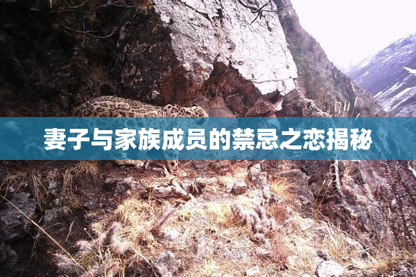 妻子与家族成员的禁忌之恋揭秘