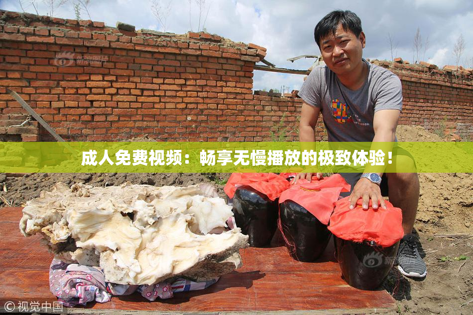 成人免费视频：畅享无慢播放的极致体验！