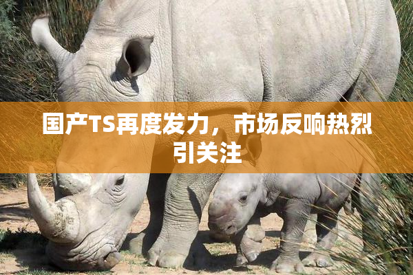 国产TS再度发力，市场反响热烈引关注