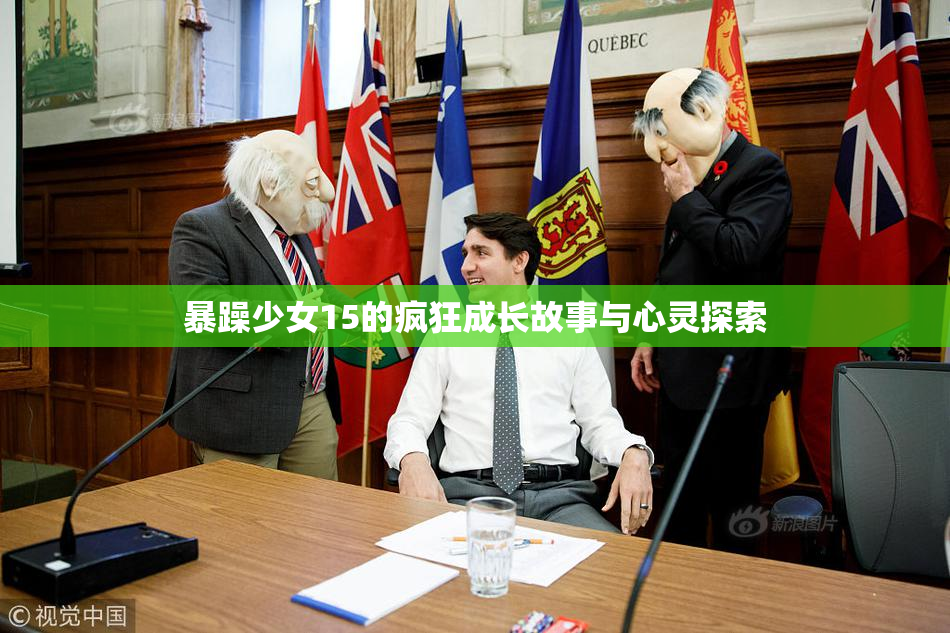 暴躁少女15的疯狂成长故事与心灵探索