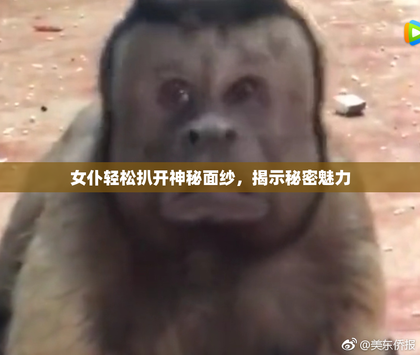 女仆轻松扒开神秘面纱，揭示秘密魅力