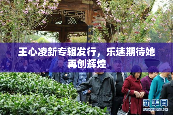 王心凌新专辑发行，乐迷期待她再创辉煌
